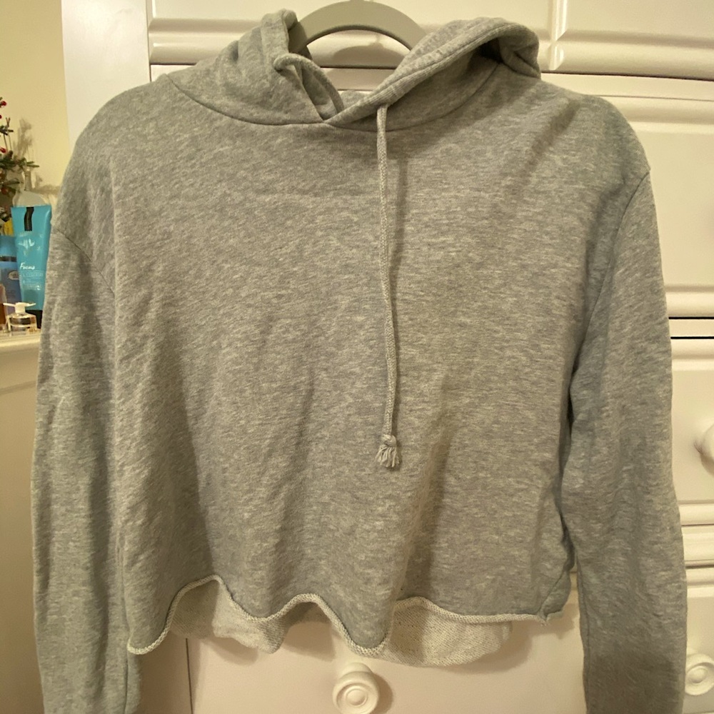 Urban Outfitters Cropped Gray Hoodie